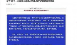 爆料辽宁盘锦事件视频